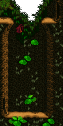 Unused tall Jungle bonus room