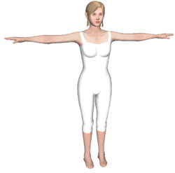 Wiifitplus realistictrainer.png