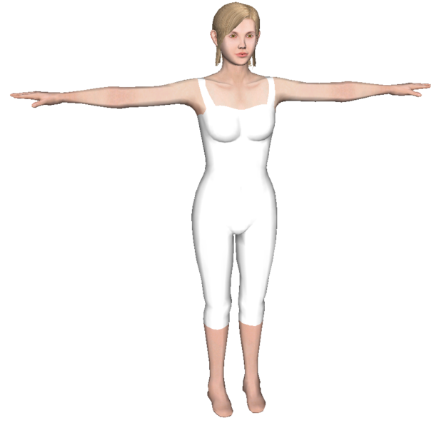 File:Wiifitplus realistictrainer.png