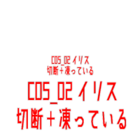 AITSF1 c05 02 dummy.png