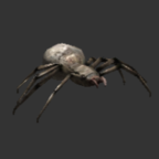 ATDD-spider.png