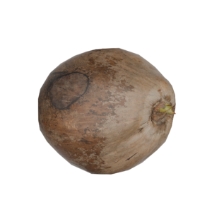 RLDB Coconut udrlcdmqx.png