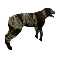 SilentHill3 DoubleHead Unused Side.png