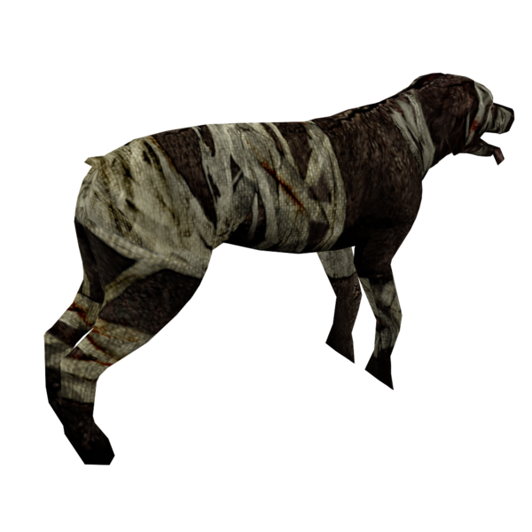 File:SilentHill3 DoubleHead Unused Side.png