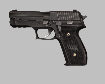 CSGO-Leaked P228.png
