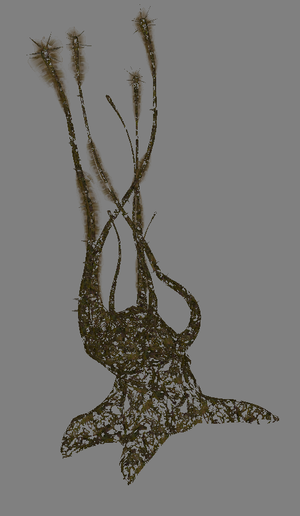 That's gross. You need to shave dude.