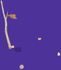 Pikmin 2 way4 kusachi.png